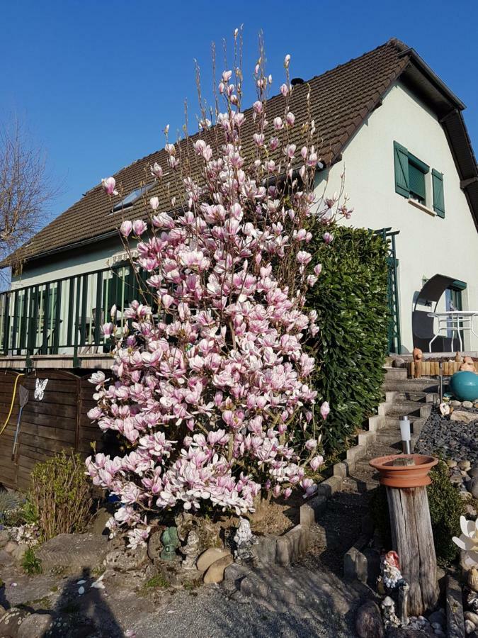 Le Nid Fleuri De Cravanche Kültér fotó